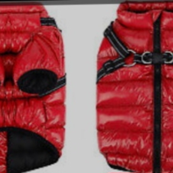 Red Dog Jacket - Picture 2 of 2
